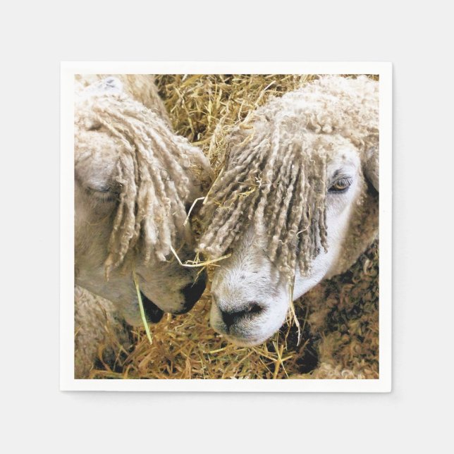 GUARDANAPO DE PAPEL OVINO (Frente)