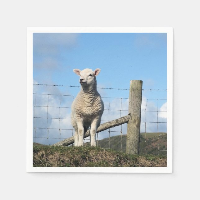 GUARDANAPO DE PAPEL OVINO DE BOVINO (Frente)