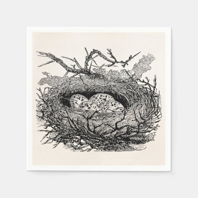 Guardanapo De Papel Ovos Espetados Vintage Aves Personalizadas (Frente)