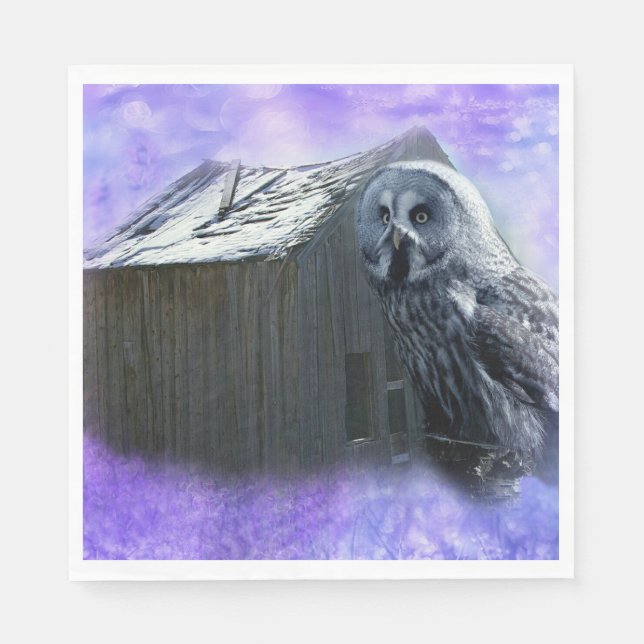 Guardanapo De Papel Owl Barn Shed (Frente)