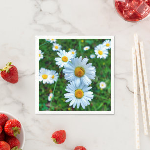 Guardanapo De Papel Ox-Eye Daisies Napkins