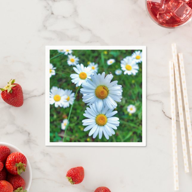 Guardanapo De Papel Ox-Eye Daisies Napkins (Insitu)