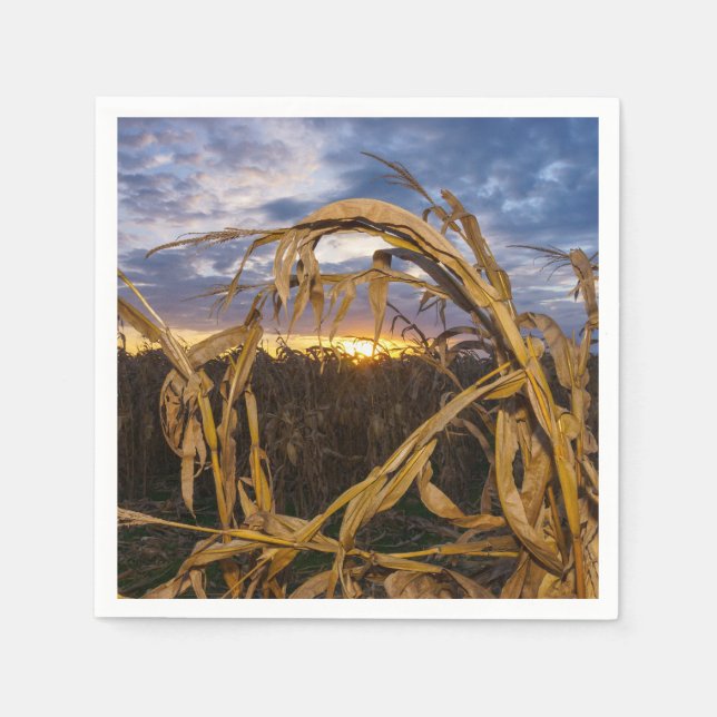 Guardanapo De Papel Ozarks Harvest (Frente)