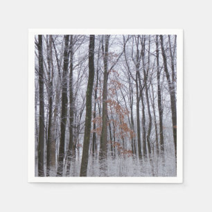 Guardanapo De Papel Paisagem de inverno na Floresta de Neve Dusted Fot