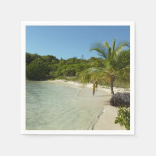 Guardanapo De Papel Paisagem tropical bonita de antiguan Beach