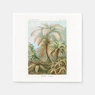 Guardanapo De Papel Palm Tree Ernst Haeckel