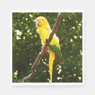 Guardanapo De Papel Papagaio Amarelo