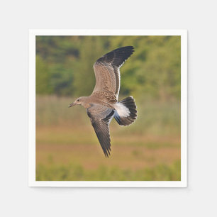 Guardanapo De Papel Papel de Caveira do Mar - Nápoles