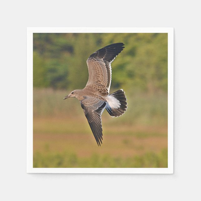 Guardanapo De Papel Papel de Caveira do Mar - Nápoles (Frente)