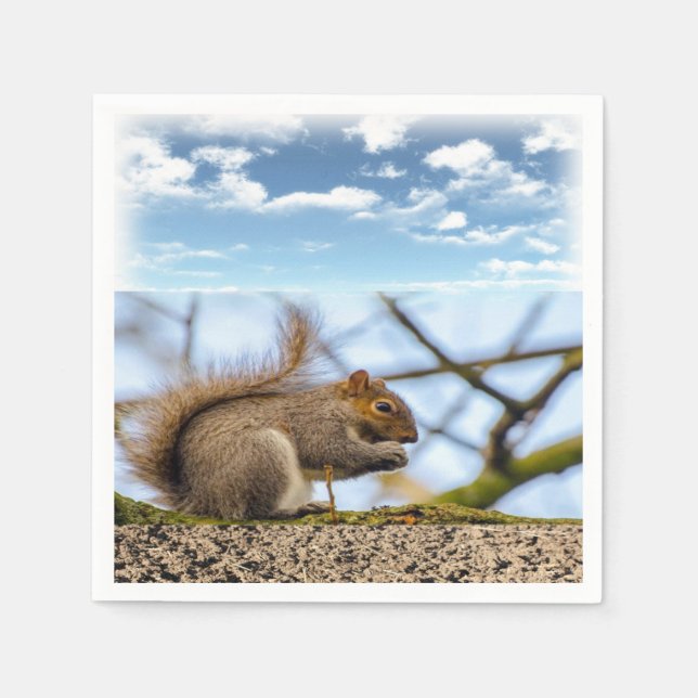 Guardanapo De Papel Papel de Esquilo Napkins (Frente)