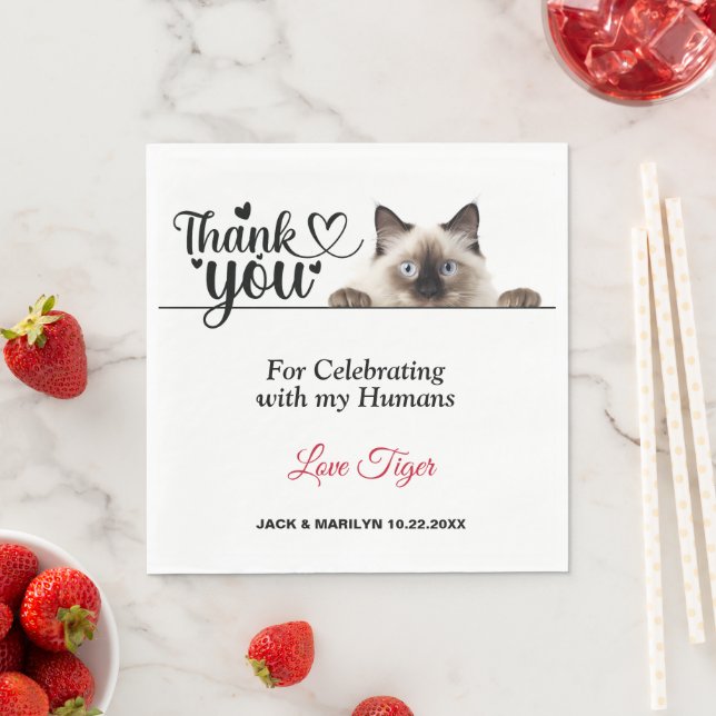 Guardanapo De Papel Papel de Gato de Peeking Siamês Napkins (Insitu)