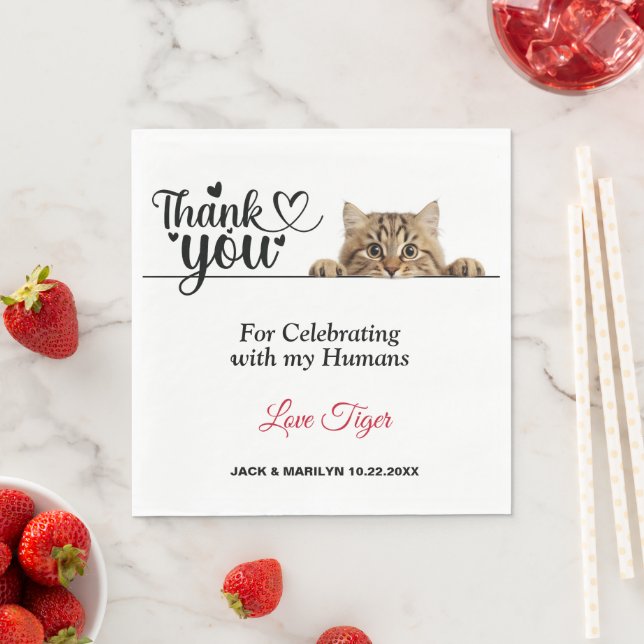 Guardanapo De Papel Papel De Gato De Pequim Com Tigre De Tigre (Insitu)