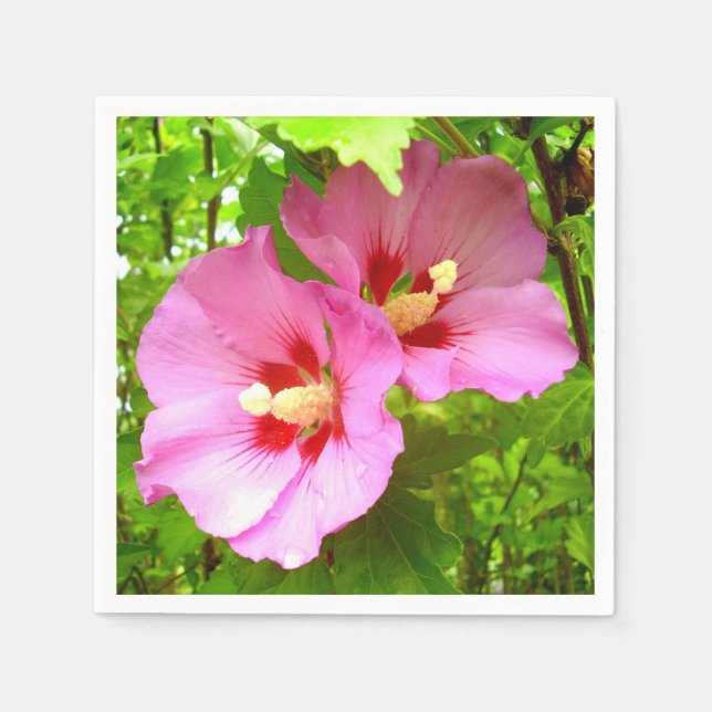 Guardanapo De Papel Papel de Hibiscus Rosa Napkins (Frente)