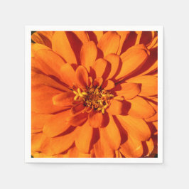 Guardanapo De Papel Papel Flor Laranja Zinnia Nápoles