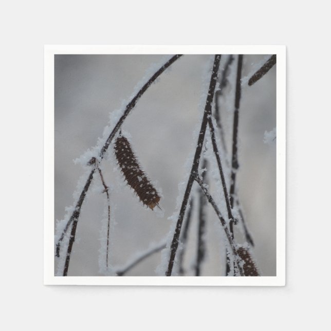 Guardanapo De Papel Papel Fotográfico de inverno Napkins (Frente)
