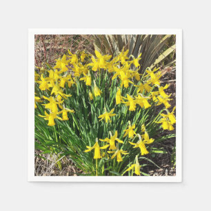 Guardanapo De Papel Papel Napkin para Daffodils Primavera Amarelo