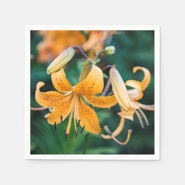 Guardanapo De Papel Papel Napkins (Frente)