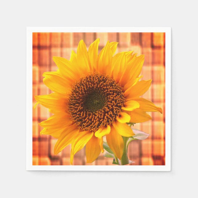 Guardanapo De Papel Papel Napkins (Frente)