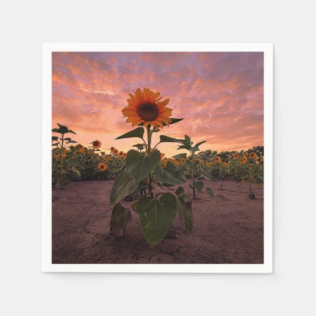 Guardanapo De Papel Papel Napkins (Frente)