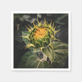 Guardanapo De Papel Papel Napkins