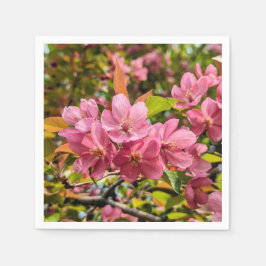 Guardanapo De Papel Papel Napkins