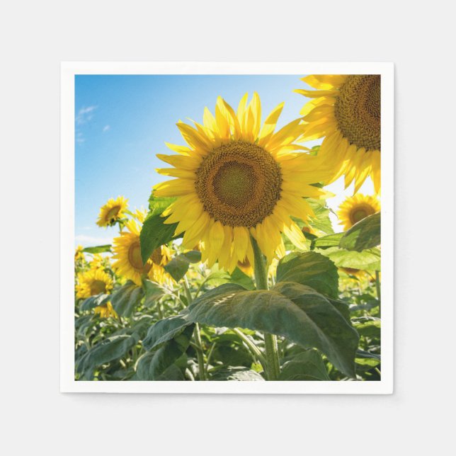 Guardanapo De Papel Papel Napkins (Frente)