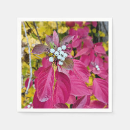 Guardanapo De Papel Papel Napkins