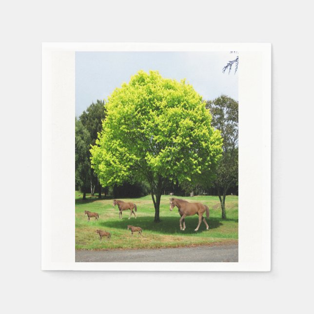 Guardanapo De Papel Papel Napkins (Frente)