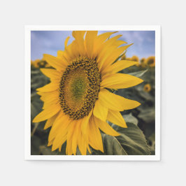 Guardanapo De Papel Papel Napkins