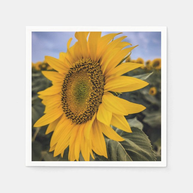 Guardanapo De Papel Papel Napkins (Frente)