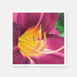 Guardanapo De Papel Papel Napkins