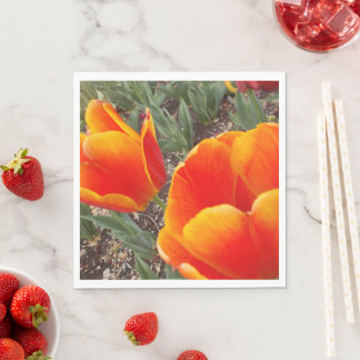 Guardanapo De Papel Papel Nápoles em Laranja e Pata Vermelha