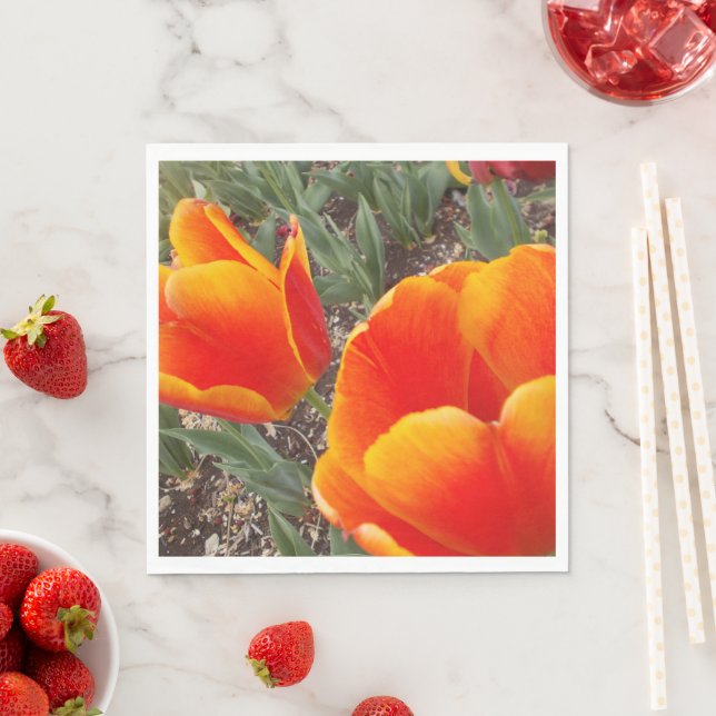 Guardanapo De Papel Papel Nápoles em Laranja e Pata Vermelha (Insitu)