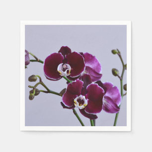 Guardanapo De Papel Papel Orquídeo Roxo