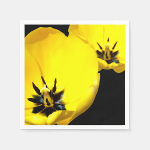 Guardanapo De Papel Papelão Amarelo Nápoles