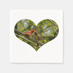 Guardanapo De Papel Papelão, Cardeais Beijantes.