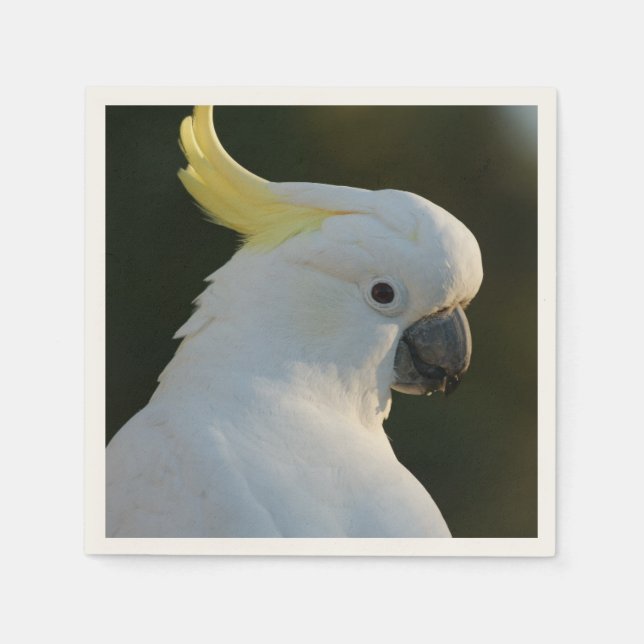 Guardanapo De Papel Papierservietten cacatuas (Frente)