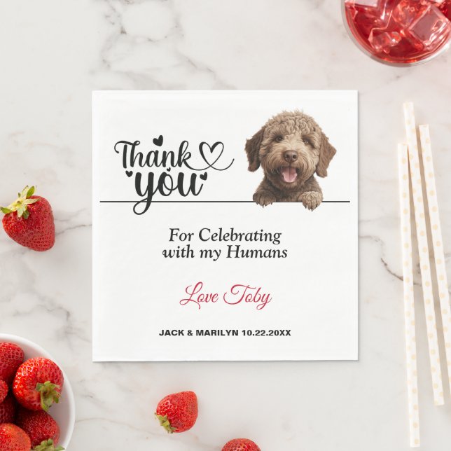 Guardanapo de papel para cão Lagotto Romagnoto (Insitu)