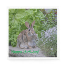 Parabéns, mamãe Bunny