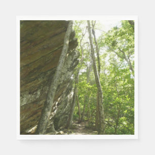 Guardanapo De Papel Parede de Rocha Frazier no Parque Nacional Shenand