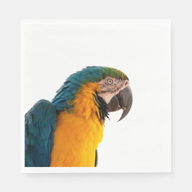 Guardanapo De Papel Parrot Post-it Notes (Frente)