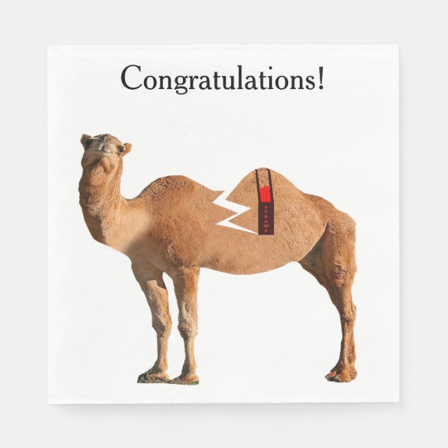 Guardanapo De Papel Partido Divorciário Napkins (Frente)