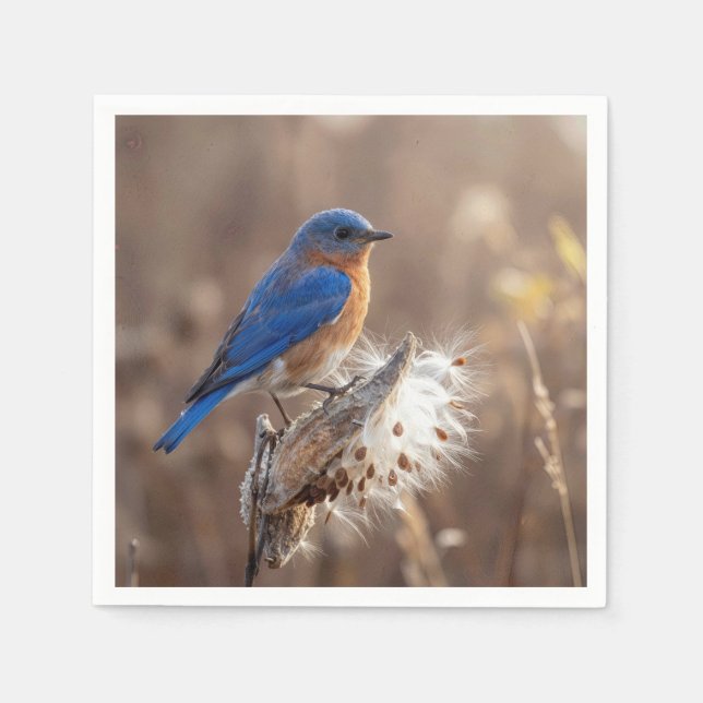 Guardanapo De Papel Pássaro azul em um fruto de algodão-do-campo (Frente)