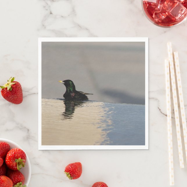 Guardanapo De Papel Pássaro Pequeno (Insitu)