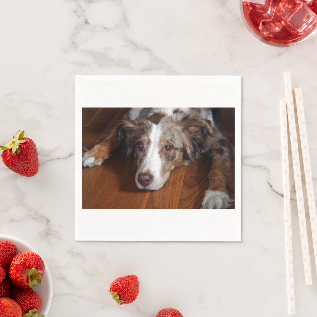 Guardanapo De Papel pastor australiano, com serradura vermelha, (Insitu)