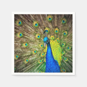 Guardanapo De Papel Pavão