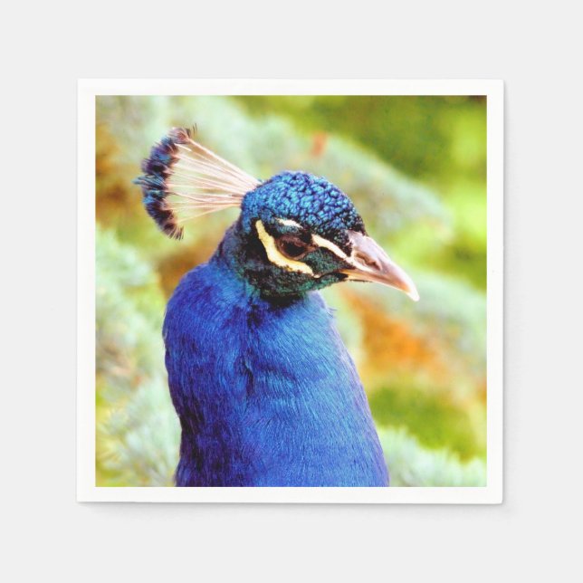 GUARDANAPO DE PAPEL PAVÃO   (Frente)