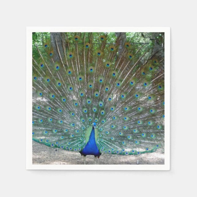 Guardanapo De Papel Peacock Design Party Napkins (Frente)