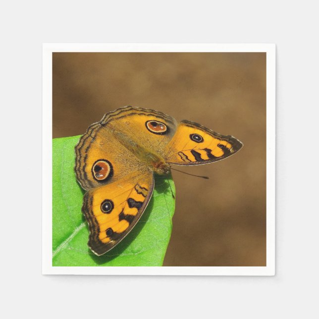 Guardanapo De Papel Peacock Pansy Paper Napkin (Frente)