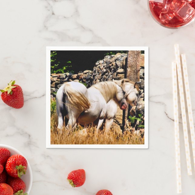 GUARDANAPO DE PAPEL PEDAÇOS (Insitu)